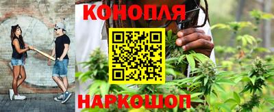 тгк Пенза