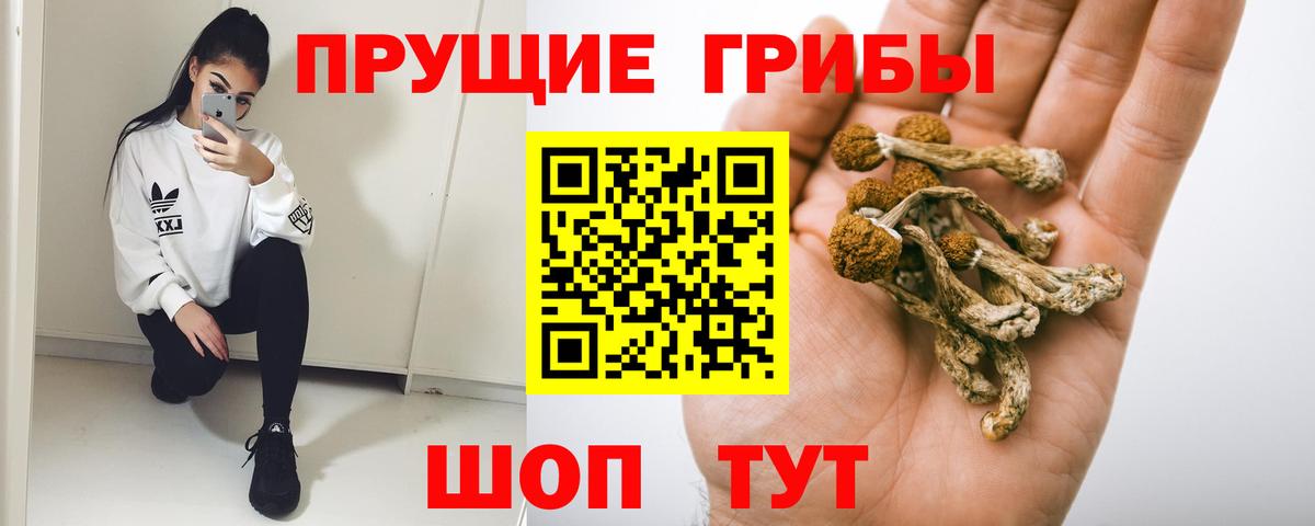 Псилоцибиновые грибы Cubensis  Вход с VPN  Алатырь 
